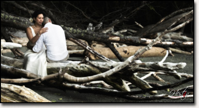 Trash the Dress